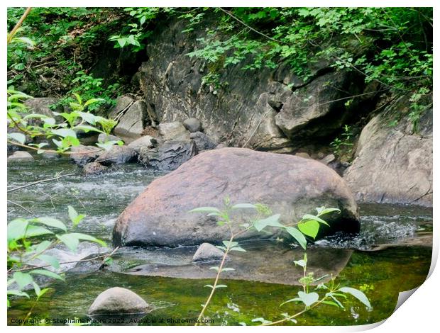 Forest stream Print by Stephanie Moore