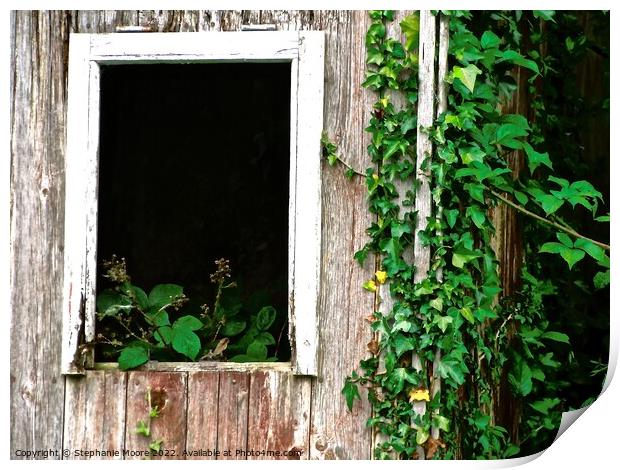 Overgrown cottage window Print by Stephanie Moore