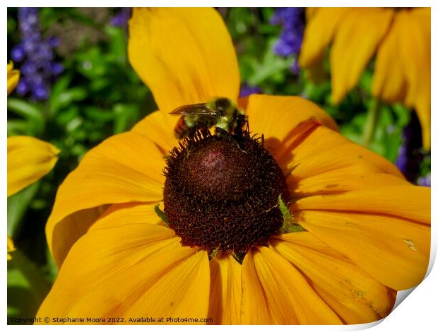 Yellow daisy and bee Print by Stephanie Moore