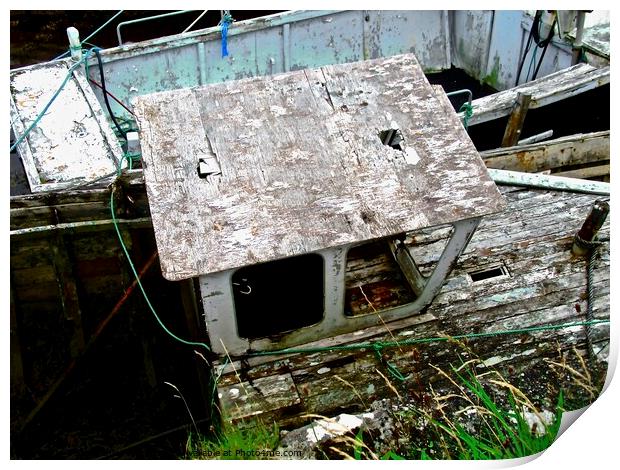 Abandoned boats Print by Stephanie Moore