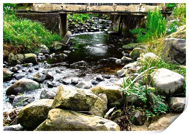 Stream at Downhill, Derry Print by Stephanie Moore