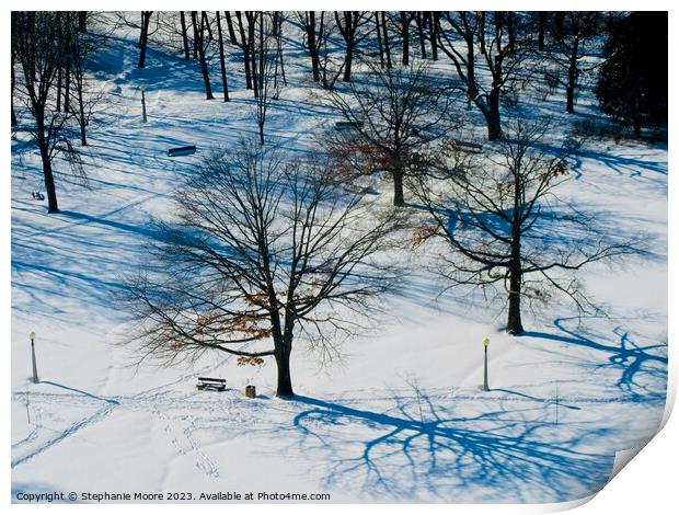 Trees in the park Print by Stephanie Moore