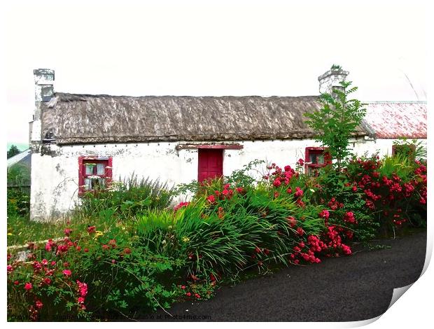 Abandoned Cottage  Print by Stephanie Moore