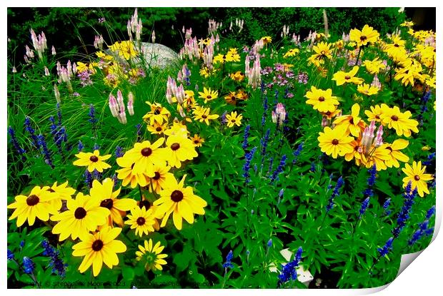 flowers in the garden Print by Stephanie Moore
