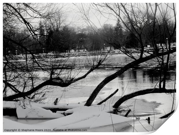 Dead Trees  Print by Stephanie Moore