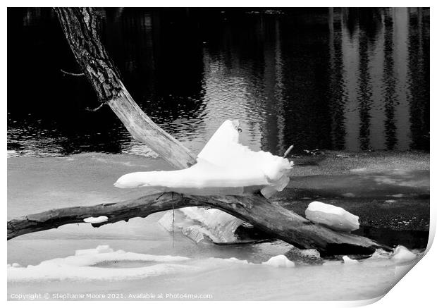 Balancing Act Print by Stephanie Moore