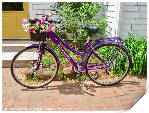 Purple Bicycle Print by Stephanie Moore