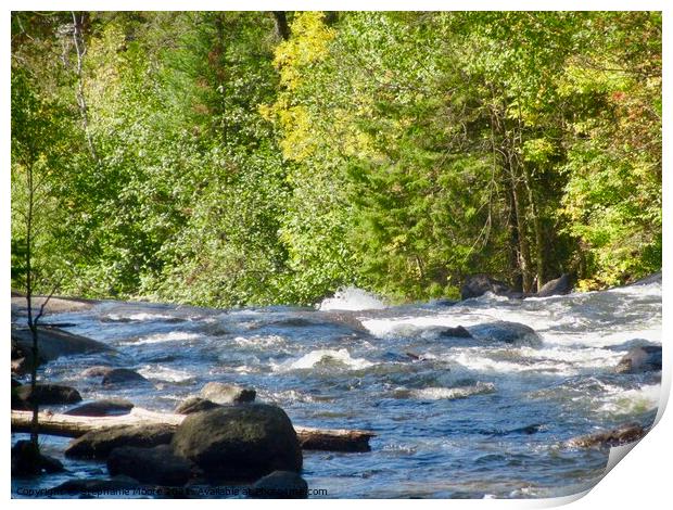 Rushing River rapids Print by Stephanie Moore