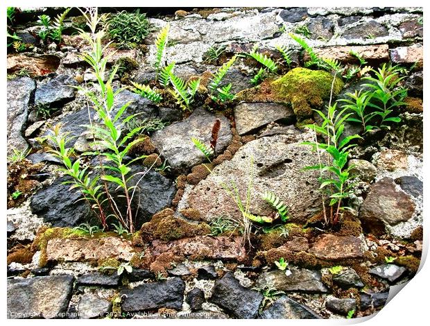 Ancient walls Print by Stephanie Moore