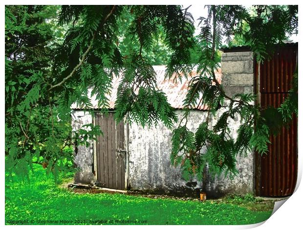Garden shed Print by Stephanie Moore