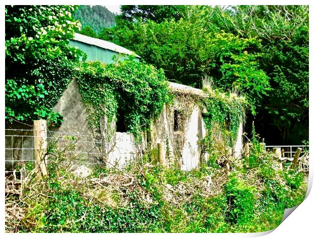 Another abandoned barn Print by Stephanie Moore