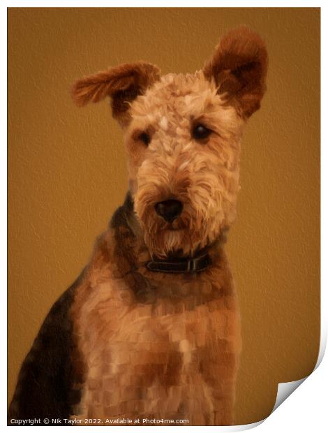Airedale Terrier Print by Nik Taylor
