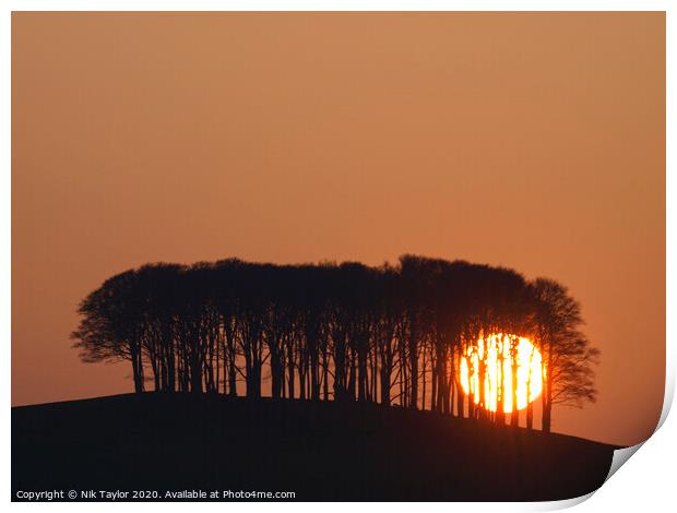 Sun setting behind the 'nearly home' trees, Devon, UK Print by Nik Taylor