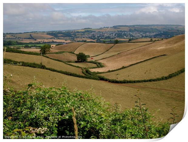 Rolling hills of rural Devon Print by Nik Taylor