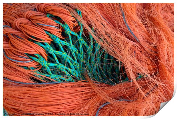 Fishing Net Abstract Print by Alexandra Lavizzari