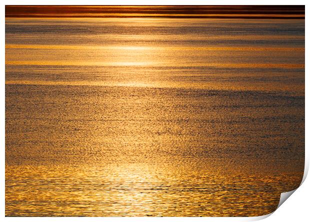 Sunlight on the sea Print by Rory Hailes