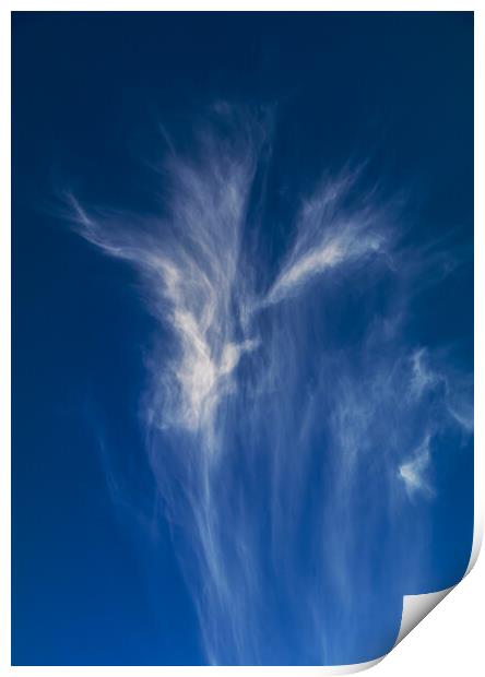 Cirrus clouds Print by Rory Hailes