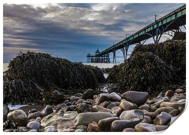 Clevedon Pier Seaweed Print by Rory Hailes