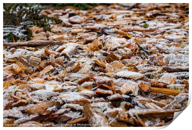 Close up of white frost covered wood chips in winter Print by SnapT Photography