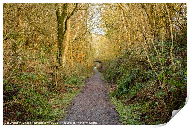 Woodland trail along the old Dumfries and Galloway Railway line, Scotland Print by SnapT Photography