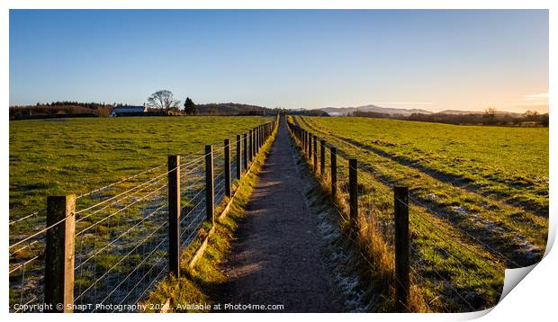 A fenced trail through agricultural land in the Scottish countryside in winter Print by SnapT Photography