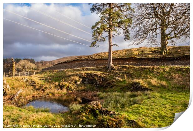 The Green Well of Scotland at Carsphairn, Dumfries and Galloway, Scotland Print by SnapT Photography