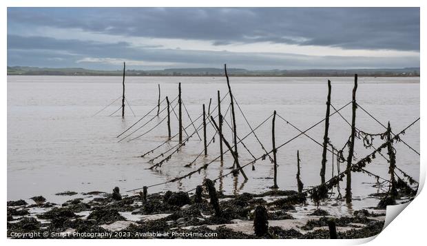 Salmon stake nets at low tide on the River Cree estuary at Carsluith, Scotland Print by SnapT Photography