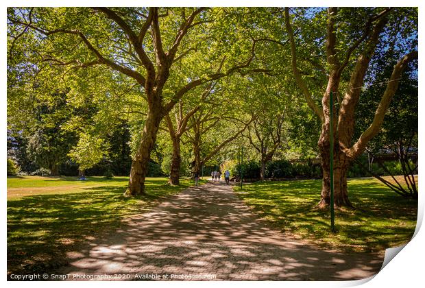 A woodland path in Stanley Park, Vancouver, British Columbia, Canada Print by SnapT Photography