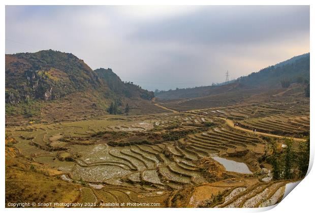 A view over a Vietnamese landscape of rice terraces in winter, Sapa, Vietnam Print by SnapT Photography