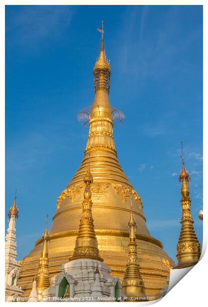 The stupa of the Shwedagon Pagoda in the evening sunlight, in Yangon, Myanmar Print by SnapT Photography