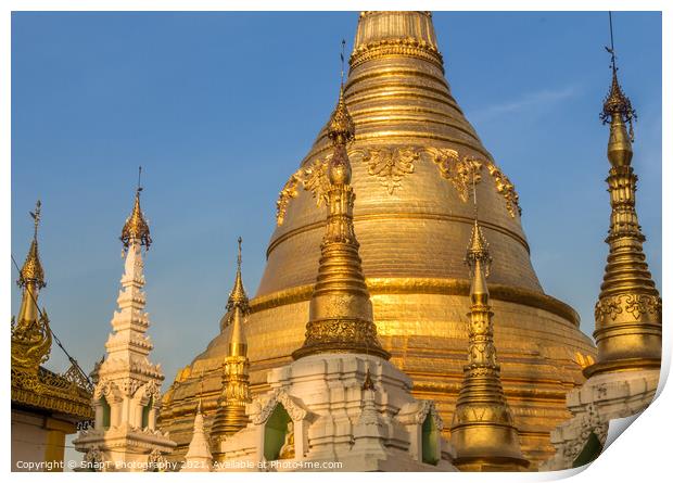Evening light falling on the golden Shwedagon Pagoda in Yangon, Myanmar Print by SnapT Photography