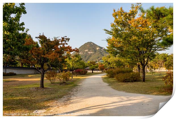 The gardens of Gyeongbokgung Palace, with Bugaksan Mountain in the background Print by SnapT Photography