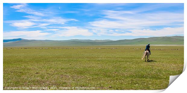 A female mongolian herder, herding cattle on the grassland by horse Print by SnapT Photography