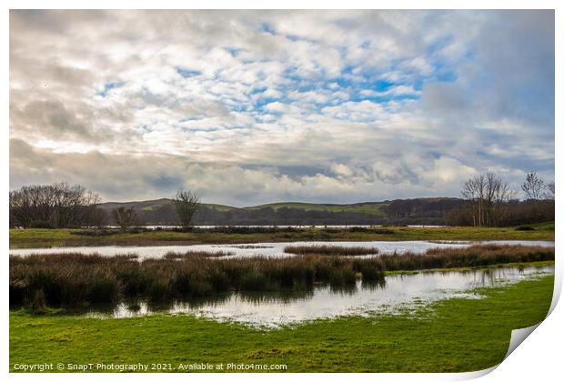 Flooded marshland at Loch Ken in winter near Parton, Galloway, Scotland Print by SnapT Photography