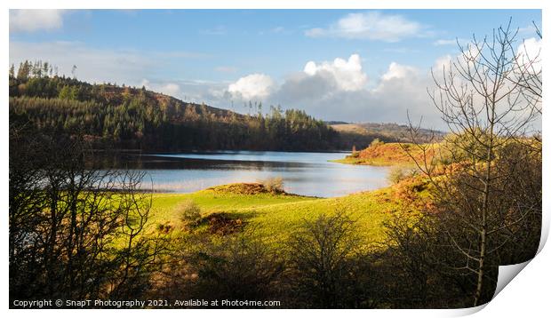 A view over Woodhall loch, on a sunny winters day, near Mossdale , Scotland Print by SnapT Photography