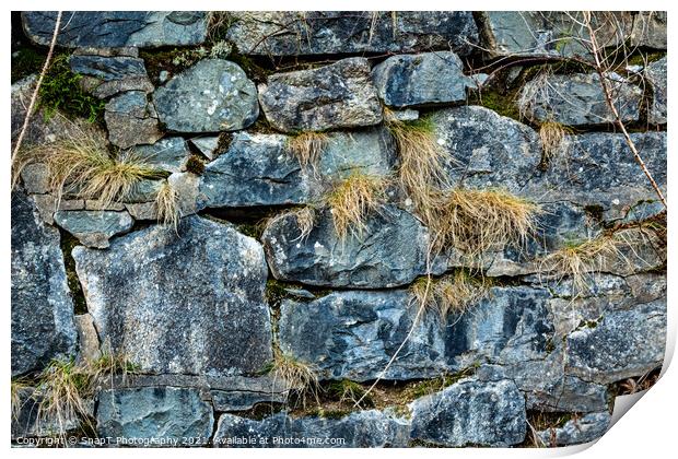 Abstract of an old Scottish drystone wall or dyke, with moss and grass growing Print by SnapT Photography