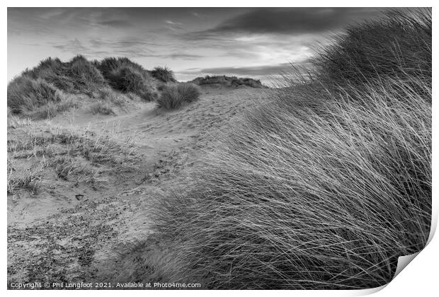 Winter sand dunes  Print by Phil Longfoot
