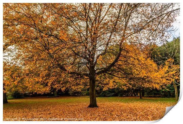 Autumn leaves in a Liverpool park  Print by Phil Longfoot