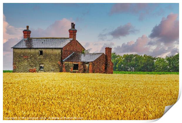 Cornfield cottage Lancashire Print by Phil Longfoot