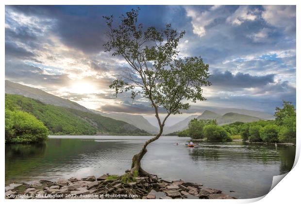 The beautiful lone tree Llanberis Wales Print by Phil Longfoot