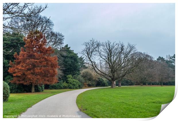 Autumnal scene in a Liverpool Park Print by Phil Longfoot