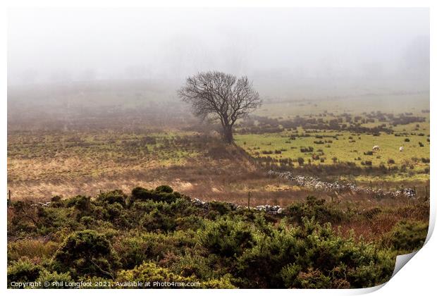 A lone tree on a Lake District moor Print by Phil Longfoot