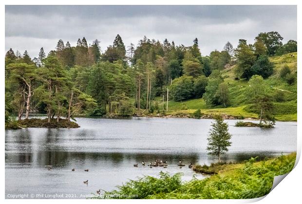 Tarn Hows South Lakes Cumbria  Print by Phil Longfoot