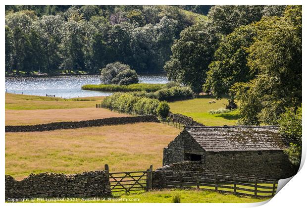 Farmland near Esthwaite Water Lake District Print by Phil Longfoot