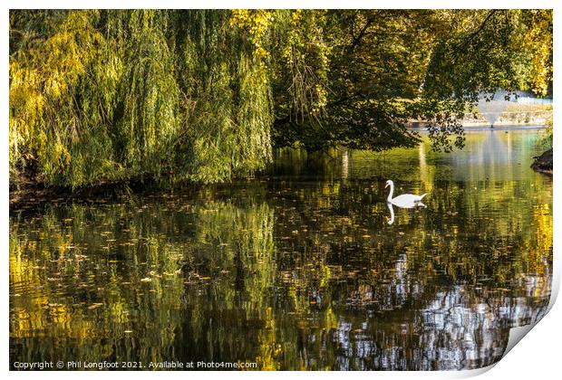 Reflections in a Liverpool Park  Print by Phil Longfoot