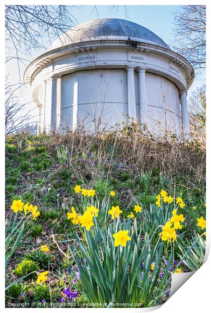 Daffodils in Vale Park Wirral  Print by Phil Longfoot
