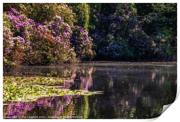 Summer colours in Royden Park Wirral England Print by Phil Longfoot