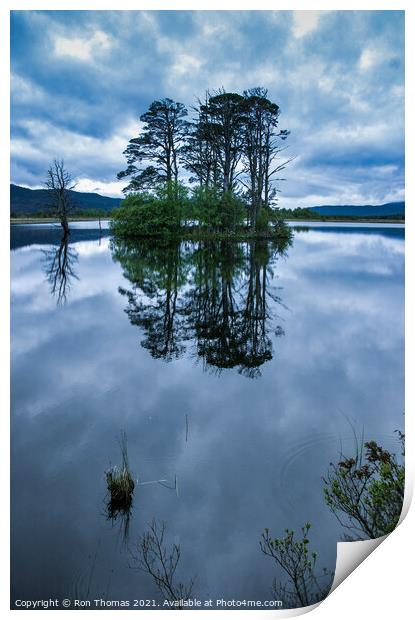 Island in Loch Garten Print by Ron Thomas