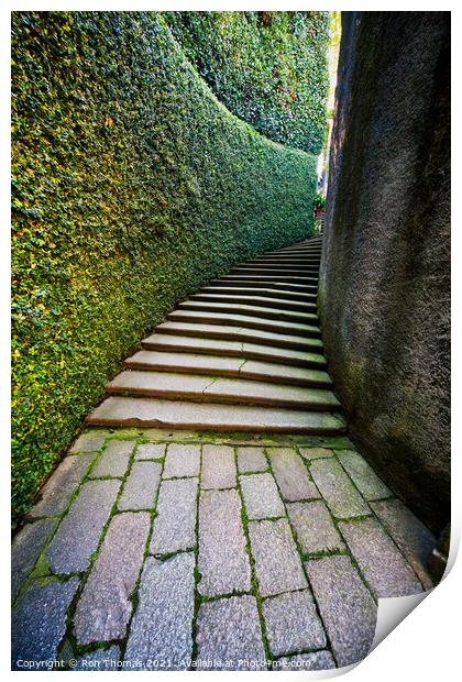 Secluded Path and Steps Print by Ron Thomas