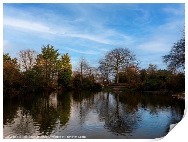 A Lake in Birkenhead Park Print by Ron Thomas